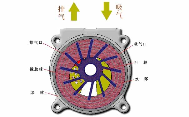 水環(huán)真空泵，水環(huán)式真空泵工作原理